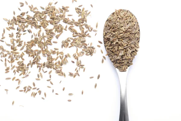 Dill seed — Stock Photo, Image
