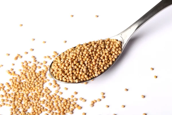 Whole mustard seed on spoon — Stock Photo, Image
