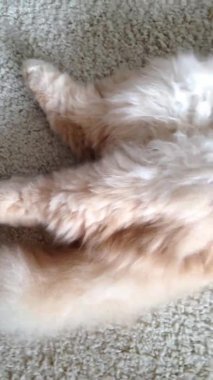 Kendimi iyi hissediyorum