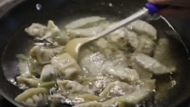 Kochen chinesische Knödel — Stockvideo