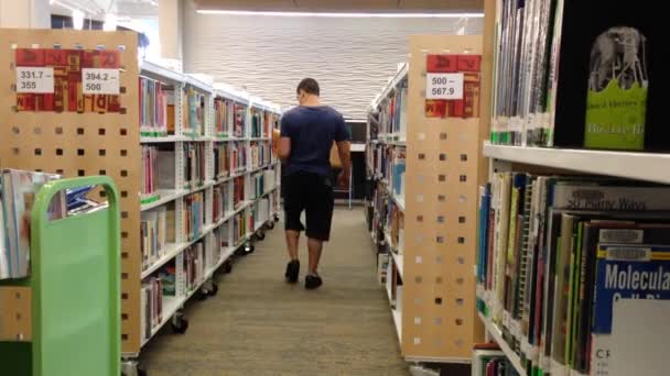 Bibliotecario poniendo libros de nuevo a la estantería dentro de la biblioteca . — Vídeo de stock