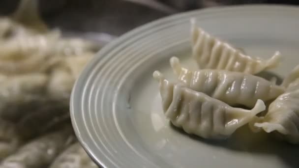 Severing chinese dumpling — Stock Video