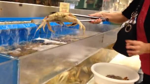 Femme achetant du crabe frais — Video