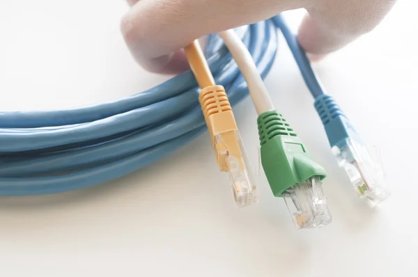 Hand holding network cables — Stock Photo, Image