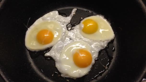 Oeufs latéraux ensoleillés frire dans une poêle — Video