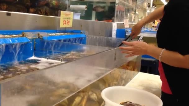 Vrouw verse krab in chinese supermarkt kopen. — Stockvideo