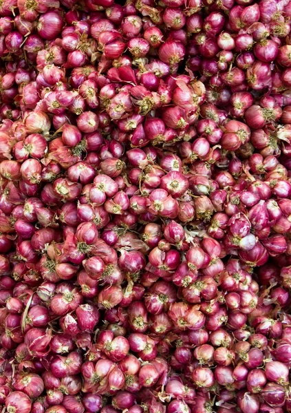 Rote Zwiebel auf dem Markt — Stockfoto