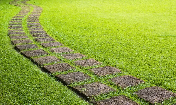 Walk way in greeen field — Stock Photo, Image