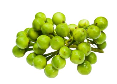 bezelye üzerine beyaz patlıcan