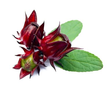 roselle üzerinde beyaz izole