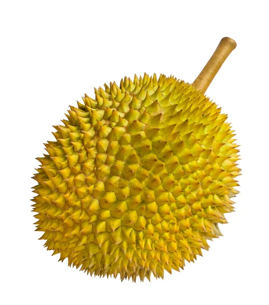 Durian izole — Stok fotoğraf