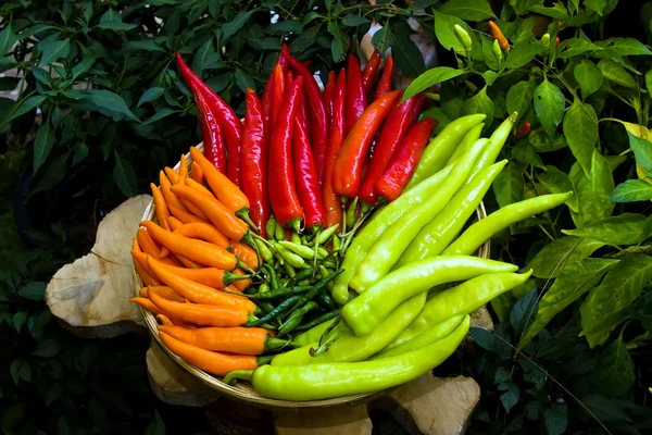 Chili dalam merah oranye hijau — Stok Foto