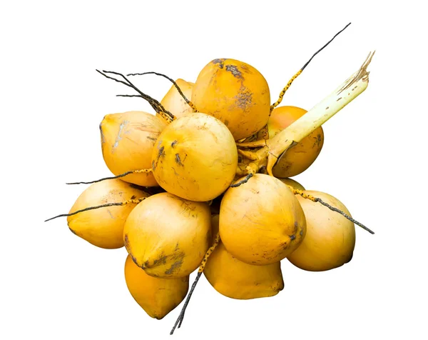 Yellow coconut — Stock Photo, Image