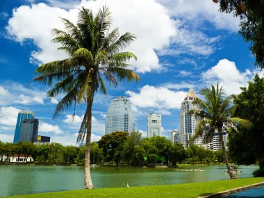 Bangkok ile mavi gökyüzü ve ağaç