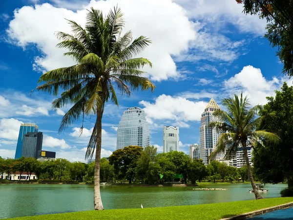 Bangkok met blauwe hemel en boom — Stockfoto