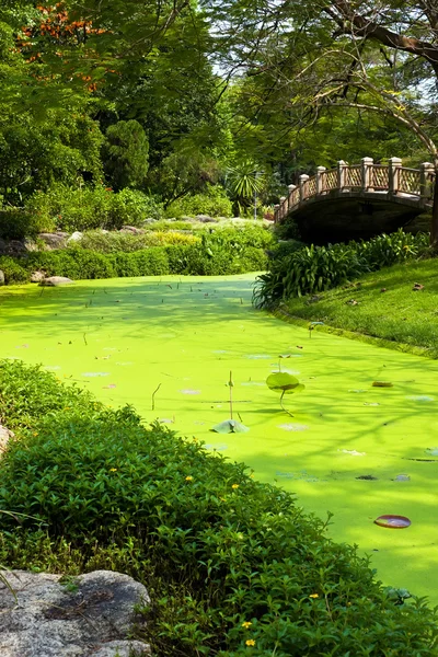 Park with green water — Stock Photo, Image