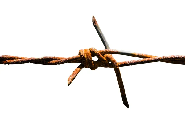Barbed wire with rust — Stock Photo, Image