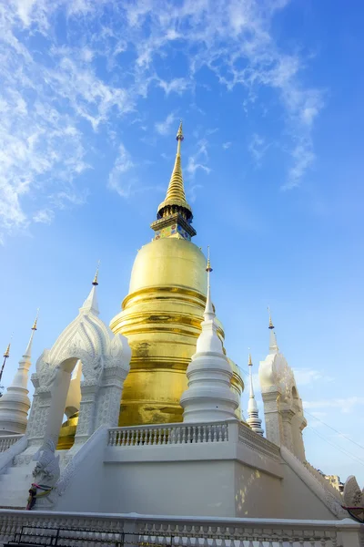 Gold pagoda at Wat Suan Dok in Chiang Mai — Stock Photo, Image