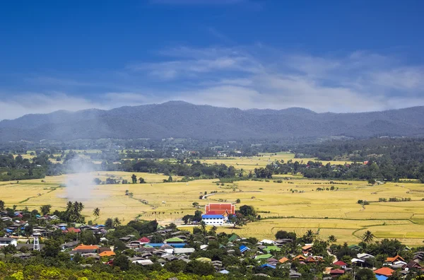 Pequena aldeia e campo de arroz em Chiangmai — Fotografia de Stock