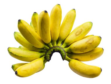 pisang mas muz