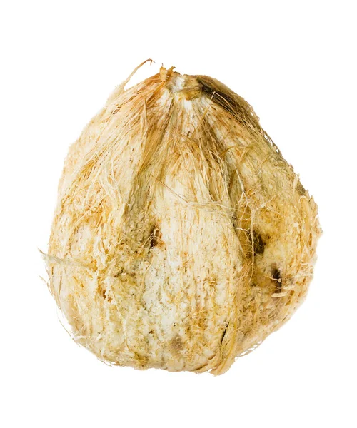 Kokos s toulec izolované — Stock fotografie