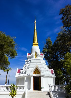 Beyaz pagoda adlı wat DOI mae pang