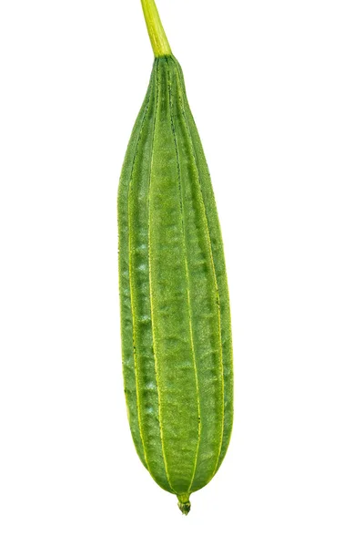 绿色棱的丝瓜 — 图库照片
