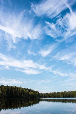 Light clouds in the blue sky