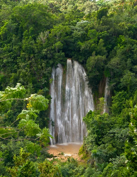 Słynny wodospad w lesie po tropikalny deszcz. Samana. — Zdjęcie stockowe