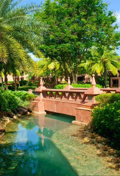 Giardino tropicale con ponte pedonale. Goa. — Foto Stock