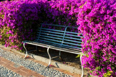 çiçekli parkta bankta