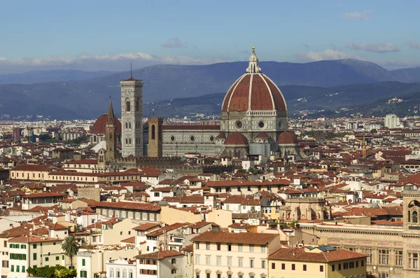 Florence cityscape, Tuscany, Italy — Stock Photo, Image