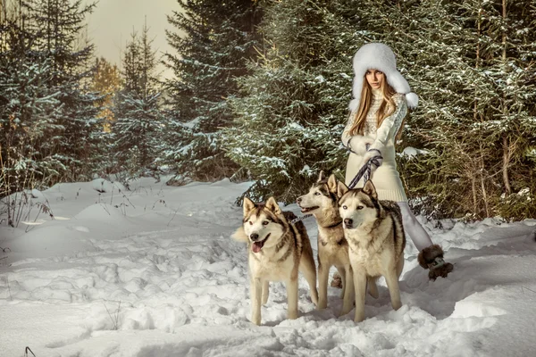 Mode portret van mooie vrouw met drie honden — Stockfoto