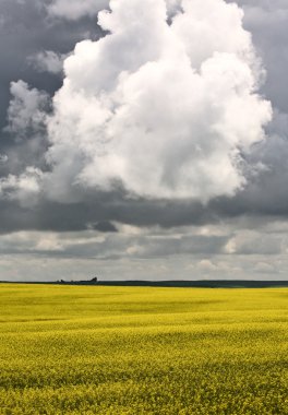 fırtına bulutları saskatchewan