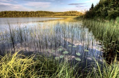 Kuzey saskatchewan Gölü