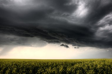 fırtına bulutları saskatchewan