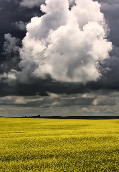 Nubes de tormenta Saskatchewan — Foto de Stock