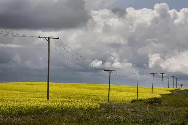 Nuvole di tempesta Saskatchewan — Foto Stock