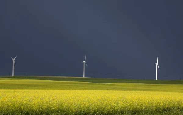 Storm Clouds Saskatchewan — Stock Photo, Image