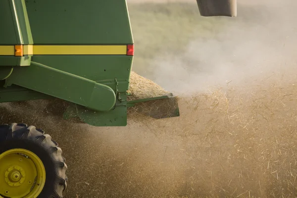 Combing Wheat — Stock Photo, Image