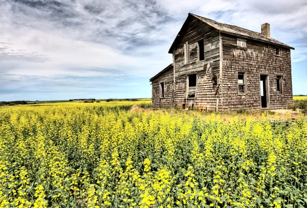 Antigo edifício abandonado — Fotografia de Stock