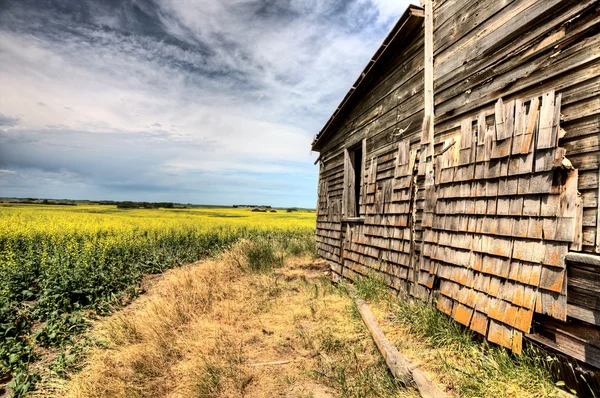 Ancien bâtiment abandonné — Photo