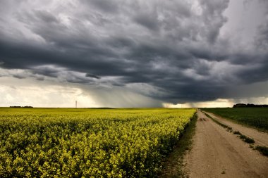 fırtına bulutları saskatchewan