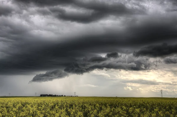 Storm wolken saskatchewan — Stockfoto