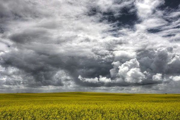 Nubes de tormenta Saskatchewan — Foto de Stock