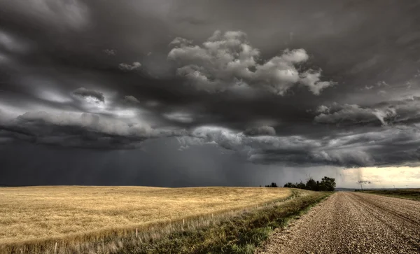 Sturmwolken saskatchewan — Stockfoto