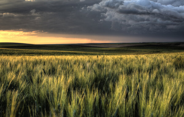 Storm Clouds Saskatchewan