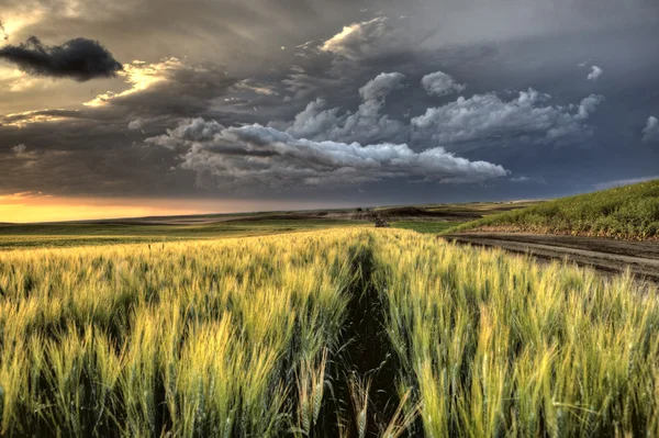 Storm moln saskatchewan — Stockfoto