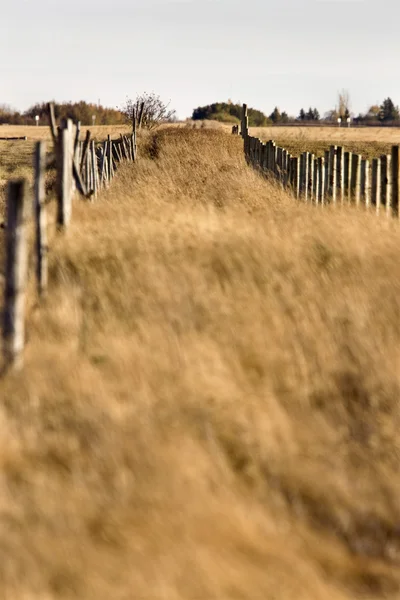 Farm Trail and Fence — Stock Photo, Image
