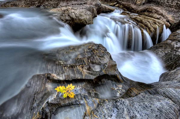 Doğal köprü — Stok fotoğraf